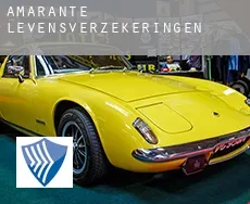 Amarante  levensverzekeringen