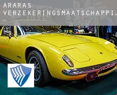 Araras  verzekeringsmaatschappij