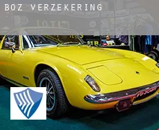 Boz  verzekering