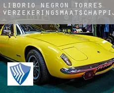 Liborio Negron Torres  verzekeringsmaatschappij