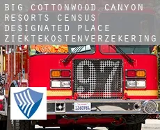 Big Cottonwood Canyon Resorts  ziektekostenverzekering