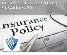 Amboy  huiseigenaren verzekering