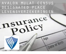 Avalon Mulat  levensverzekeringen