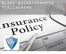 Blake  huiseigenaren verzekering