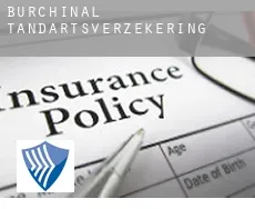 Burchinal  tandartsverzekering
