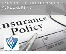 Carson  huiseigenaren verzekering