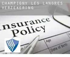 Champigny-lès-Langres  verzekering