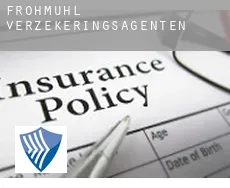 Frohmuhl  verzekeringsagenten