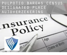 Pulpotio Bareas  autoverzekering