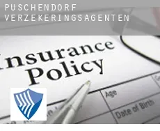 Puschendorf  verzekeringsagenten