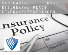 San Carlos II  levensverzekeringen