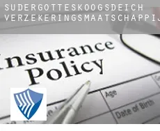 Südergotteskoogsdeich  verzekeringsmaatschappij