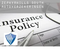 Zephyrhills South  autoverzekeringen
