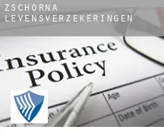 Zschorna  levensverzekeringen