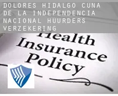 Dolores Hidalgo Cuna de la Independencia Nacional  huurders verzekering