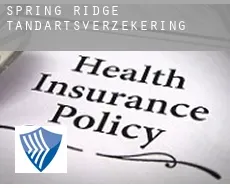 Spring Ridge  tandartsverzekering