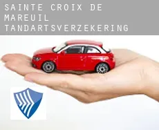 Sainte-Croix-de-Mareuil tandartsverzekering