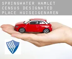 Springwater Hamlet  huiseigenaren verzekering
