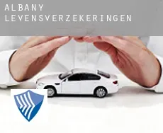 Albany  levensverzekeringen