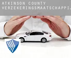 Atkinson County  verzekeringsmaatschappij