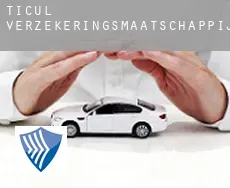 Ticul  verzekeringsmaatschappij