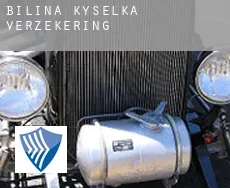 Bílina Kyselka verzekering