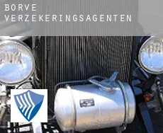 Borve  verzekeringsagenten