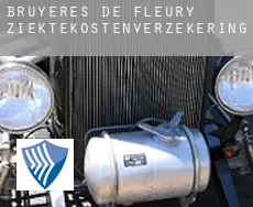 Bruyères-de-Fleury ziektekostenverzekering