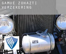 Camou-Mixe-Suhast  verzekering