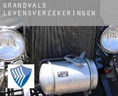 Grandvals  levensverzekeringen