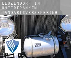 Leuzendorf in Unterfranken  tandartsverzekering