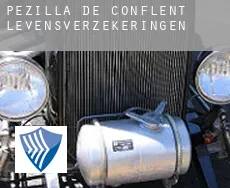 Pézilla-de-Conflent  levensverzekeringen