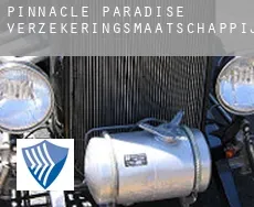 Pinnacle Paradise  verzekeringsmaatschappij