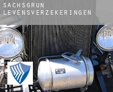 Sachsgrün  levensverzekeringen