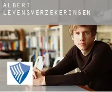 Albert  levensverzekeringen