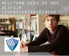 Milltown-Head of Bay D'Espoir  levensverzekeringen