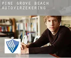 Pine Grove Beach  autoverzekering