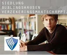 Siedlung Büblingshausen  verzekeringsmaatschappij