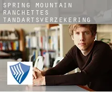 Spring Mountain Ranchettes  tandartsverzekering