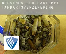 Bessines-sur-Gartempe  tandartsverzekering