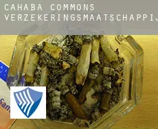 Cahaba Commons verzekeringsmaatschappij