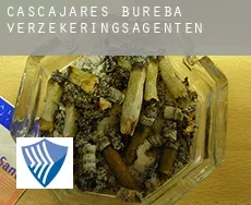 Cascajares de Bureba  verzekeringsagenten