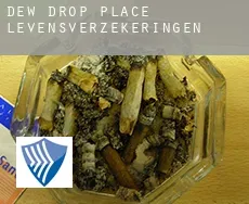 Dew Drop Place  levensverzekeringen