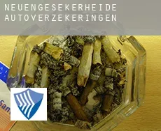 Neuengesekerheide  autoverzekeringen