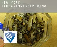New York tandartsverzekering