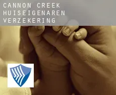 Cannon Creek  huiseigenaren verzekering