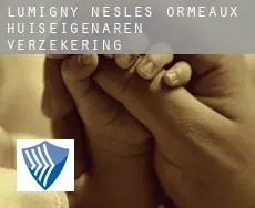 Lumigny-Nesles-Ormeaux huiseigenaren verzekering