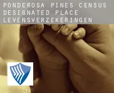 Ponderosa Pines  levensverzekeringen