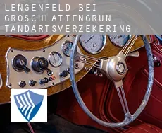 Lengenfeld bei Groschlattengrün  tandartsverzekering