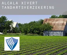 Alcalà de Xivert  tandartsverzekering